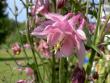 tn_gallery_3363_41_53860.jpg