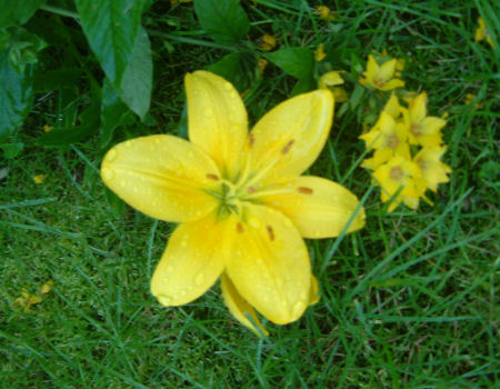 gallery_7440_639_40264.jpg
