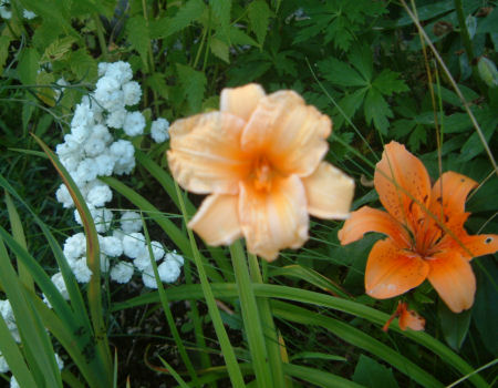 gallery_7440_639_45192.jpg