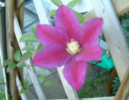 gallery_7440_639_8387.jpg