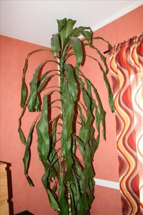 gallery_7597_849_16764.jpg