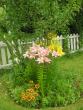 tn_gallery_5006_797_76584.jpg