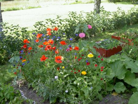 gallery_9134_758_25269.jpg