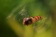 tn_gallery_4816_75_22219.jpg