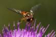 tn_gallery_4816_75_430.jpg