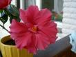 tn_gallery_9134_758_47865.jpg