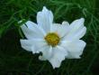 tn_gallery_4113_49_18390.jpg