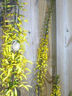 gallery_5307_536_21757.jpg