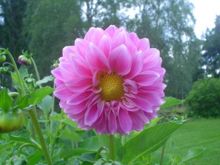 gallery_9983_627_149427.jpg