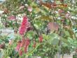 tn_gallery_5050_860_60050.jpg