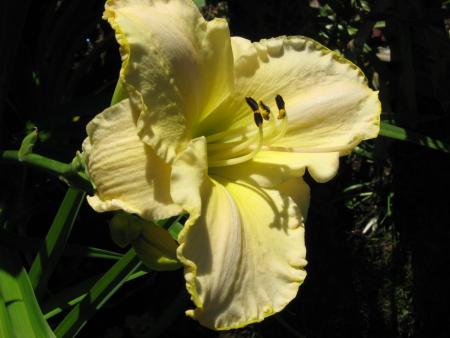 gallery_10539_40_424491.jpg