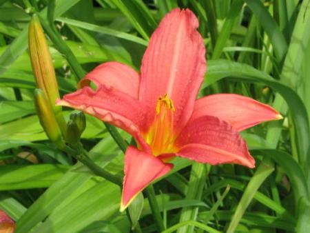 gallery_10539_40_43356.jpg