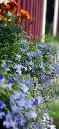 gallery_9041_862_22770.jpg