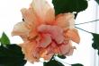 tn_gallery_8537_782_19613.jpg