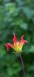 tn_gallery_9041_862_62770.jpg