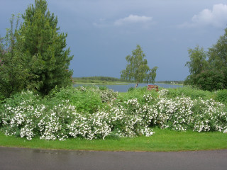 gallery_11568_877_36050.jpg