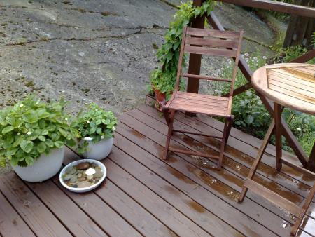 gallery_10461_868_208237.jpg