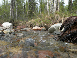 gallery_11568_878_30510.jpg