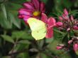 tn_gallery_11610_888_25884.jpg
