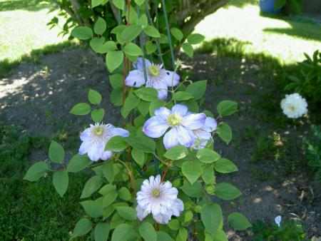 gallery_9134_894_105001.jpg