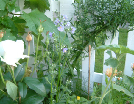 gallery_7440_639_4749.jpg