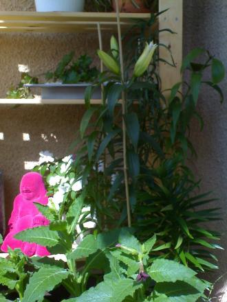 gallery_2739_899_212623.jpg