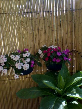 gallery_2739_899_318921.jpg