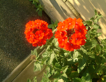 gallery_7440_639_23705.jpg