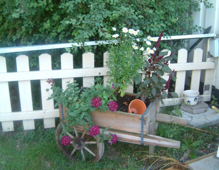 gallery_7440_639_34460.jpg