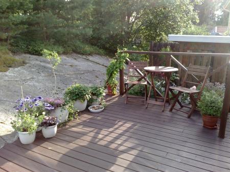 gallery_10461_911_74312.jpg