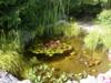 gallery_9887_913_23714.jpg