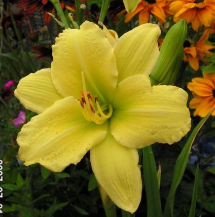 gallery_1786_40_145150.jpg