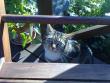 tn_gallery_10461_912_270134.jpg