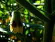 tn_gallery_5306_308_32883.jpg