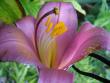 tn_gallery_5307_42_51645.jpg