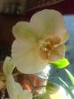 tn_gallery_9855_917_46991.jpg