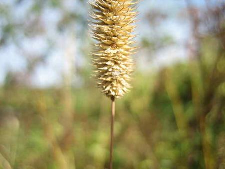 gallery_11540_920_11915.jpg