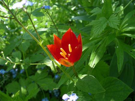gallery_11631_927_4707.jpg