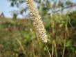 tn_gallery_11540_920_4333.jpg