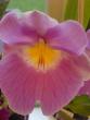 tn_gallery_9855_917_112272.jpg