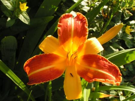 gallery_6380_757_101158.jpg