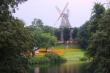 tn_gallery_36_942_316199.jpg