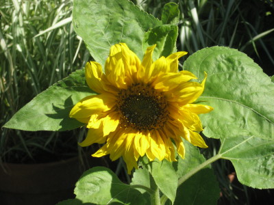 gallery_11016_13_8260.jpg