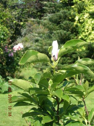 gallery_11854_949_55987.jpg