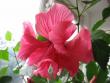 tn_gallery_4113_189_31280.jpg