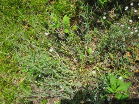 gallery_11188_730_130561.jpg