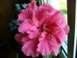 tn_gallery_10231_831_6937.jpg