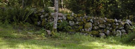 gallery_11481_959_164083.jpg