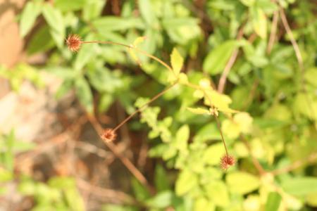gallery_11858_961_14466.jpg