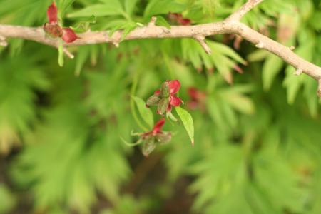 gallery_11858_961_33721.jpg